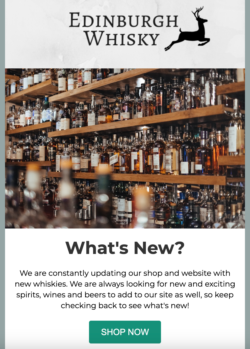 eCommerce Shop HTML Email Template